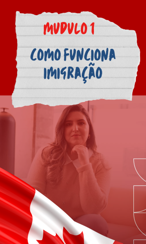 como funciona imigração